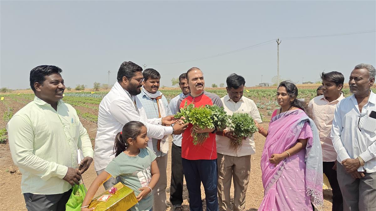 Field Work